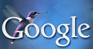 Google hummingbird